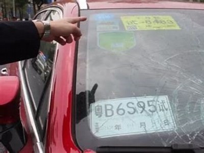 迅雷免费成人视频在线观看